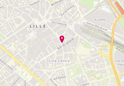 Plan de Bricomarché, 71 Rue Pierre Mauroy, 59800 Lille